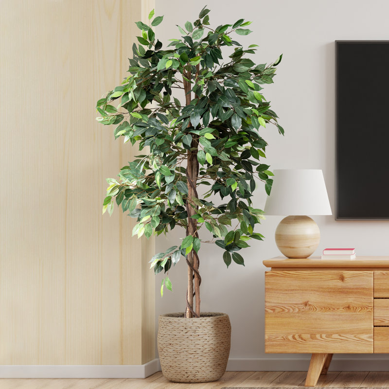 Faux ficus en pot, H 72,8 po x l 25 po x P 25 po