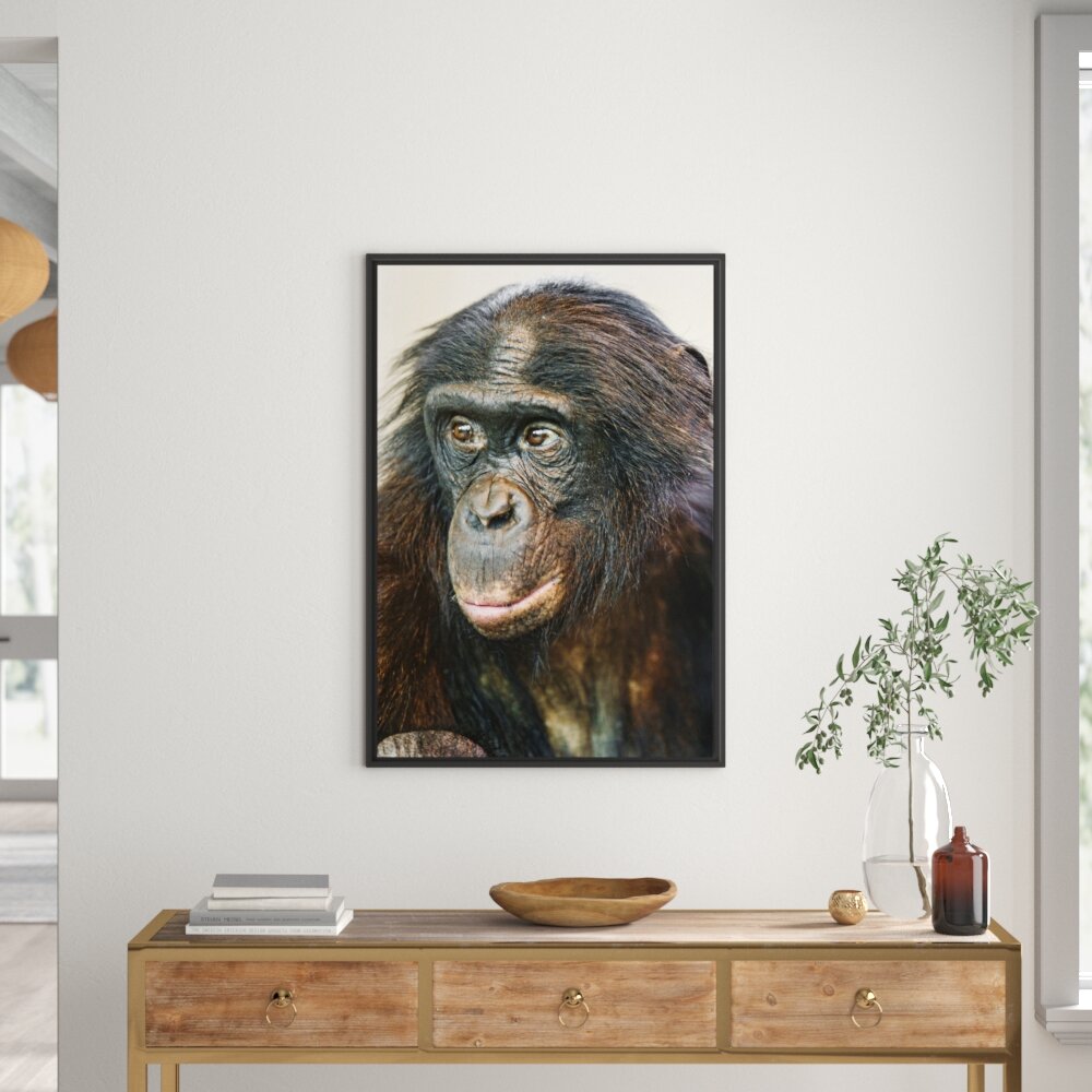 Gerahmtes Wandbild scheuer junger Gorilla