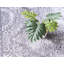 Tapis transitionnel Gaastra couleur pierre-1436621062