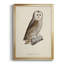 French Owls V, impression sur papier encadrée-1310601185-1310601184