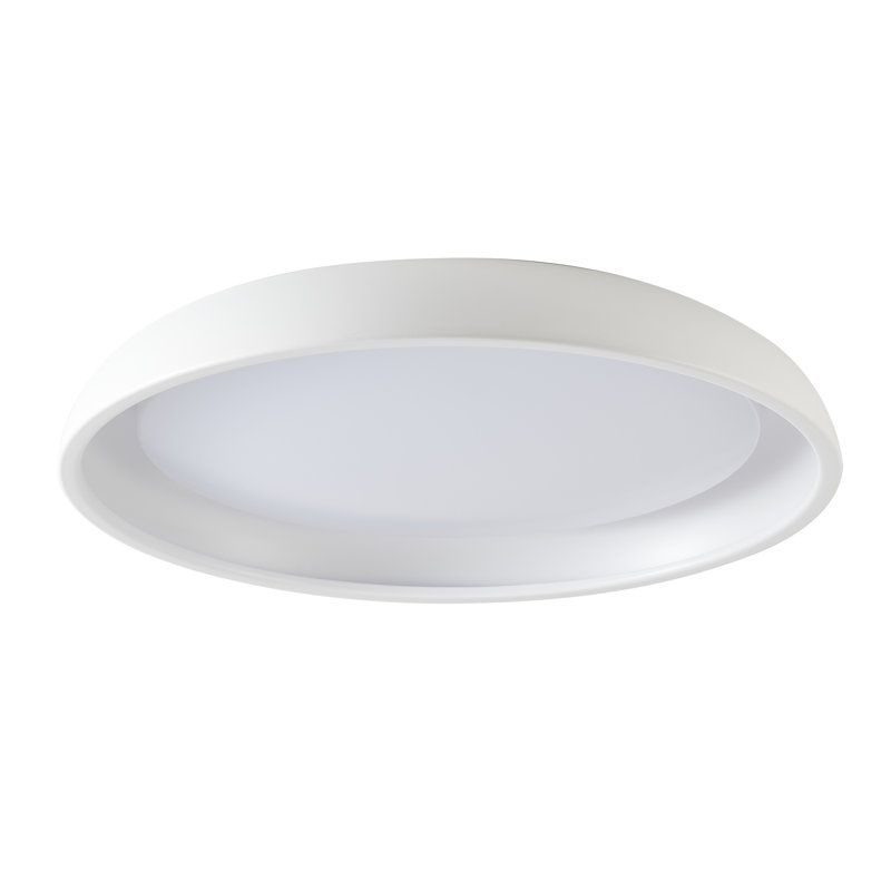 Modern LED Round Flush Mount