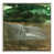 Timber Floater Frame