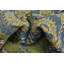 Handmade Green Traditional Area Rug 10x13