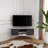 Ibarra Corner TV Stand for TVs up to 55"-2022877396