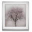 «Blossoms of Spring IV», reproduction de photo sur toile-32972353-40501226