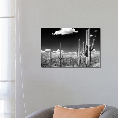 Black Arizona Series - Saguaro Cactus Desert 1 Piece Wrapped Canvas Wall Art
