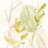 Celadon Trace I by June Erica Vess - Wrapped Canvas Painting-767392518