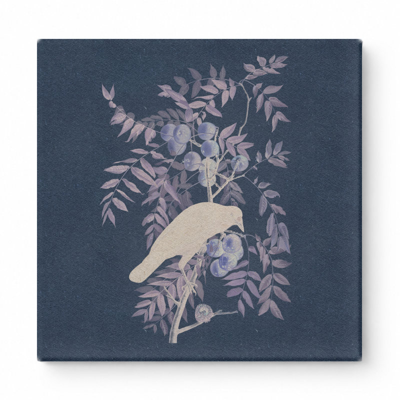 Pigeon à couronne blanche - art mural carré sur toile, 32" W x 32" H