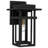 Alyena 1-Light Earth Black Outdoor Wall Lantern-1645263540