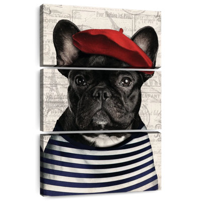 Adorable bouledogue français Brampt