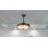 Imaani 42'' Ceiling Fan with LED Lights