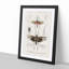 Insect Illustrations PL.4 by Charles d'Orbigny - Picture Frame Painting Print-55576305-55576308