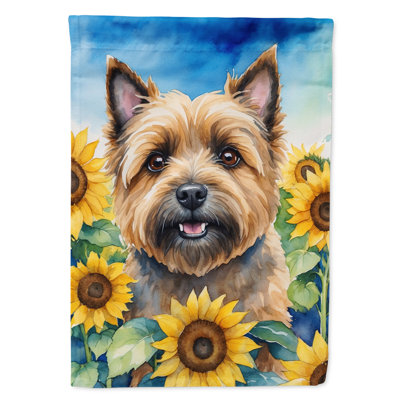 Drapeau de la maison du tournesol Malamute d'Alaska