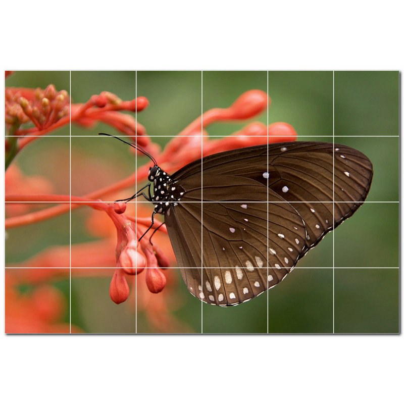 Murale décorative en céramique 8 po x 8 po Butterfly Photo