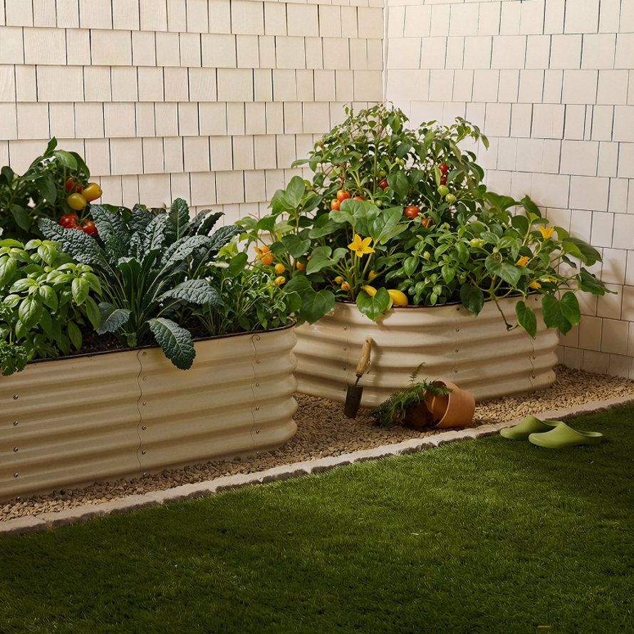 Deux potagers en métal et plantes.