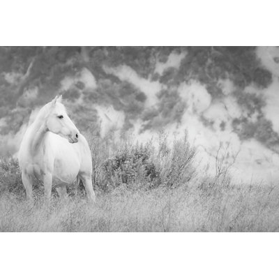Misty Mare Crop by Lisa Cueman - Wrapped Canvas Print