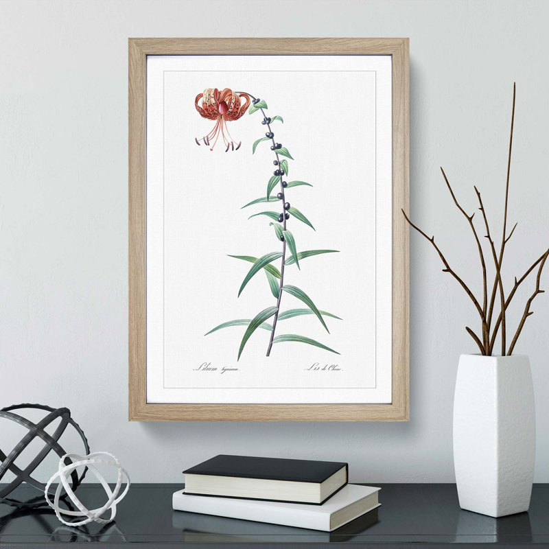 Tiger Lily Flower by Pierre-Joseph Redoute - Picture Frame Painting Print, Oak Framed, 36cm H x 27cm W x 2cm D
