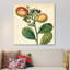 « jardin prime i », reproduction d’art sur toile tendue-20831705-73081672-73081673