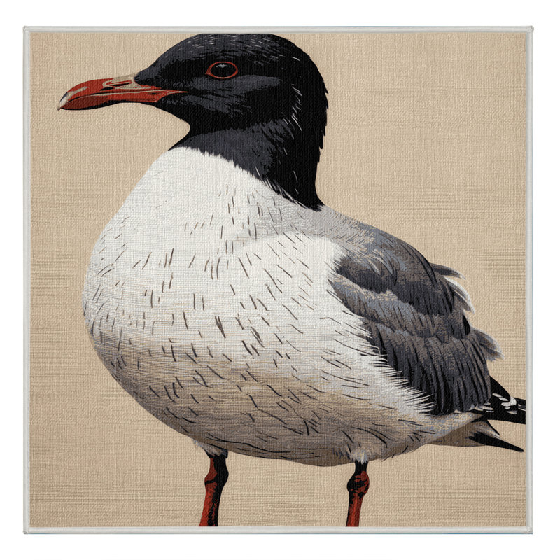 Washable Black headed Gull Birds Area Rug, Square 6'