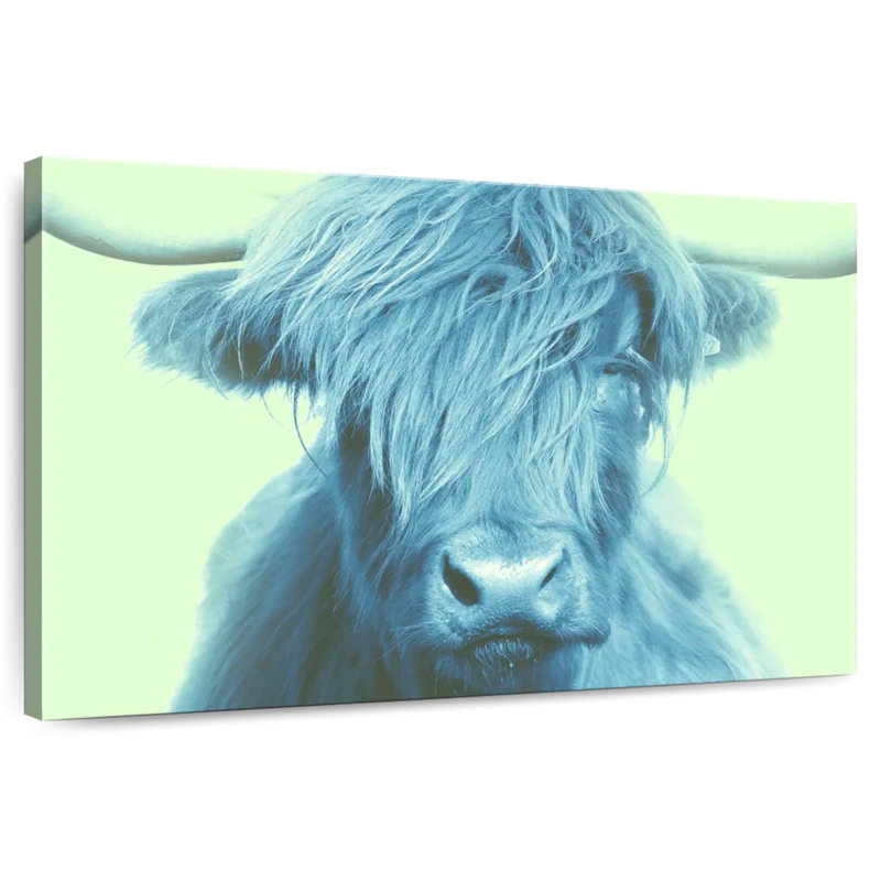 Brampt Highland Cow sur fond vert, H 24 po x l 36 po