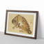 Ferocious Tiger by Maruyama Okyo - Picture Frame Painting Print-55535893-55535891