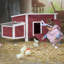 Poulailler 9,78 pieds carrés avec perchoir Alena pour 3 poulets-713647269