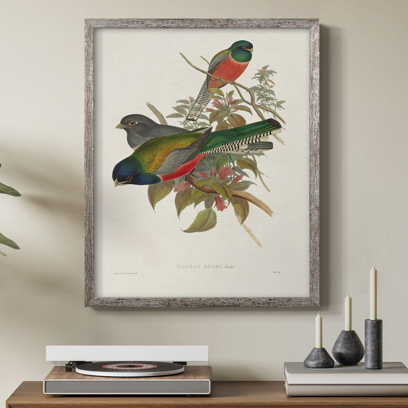 ElegantTrogonsVII Framed Print - Solid Wood