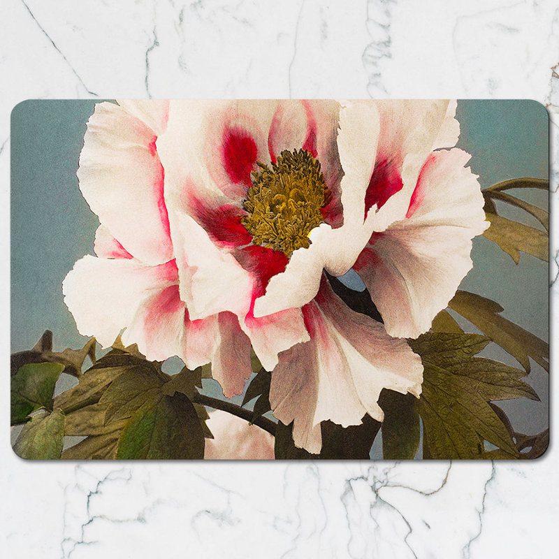 Butterfly Design Placemats And Coaster Set With Blue And Red Butterflies