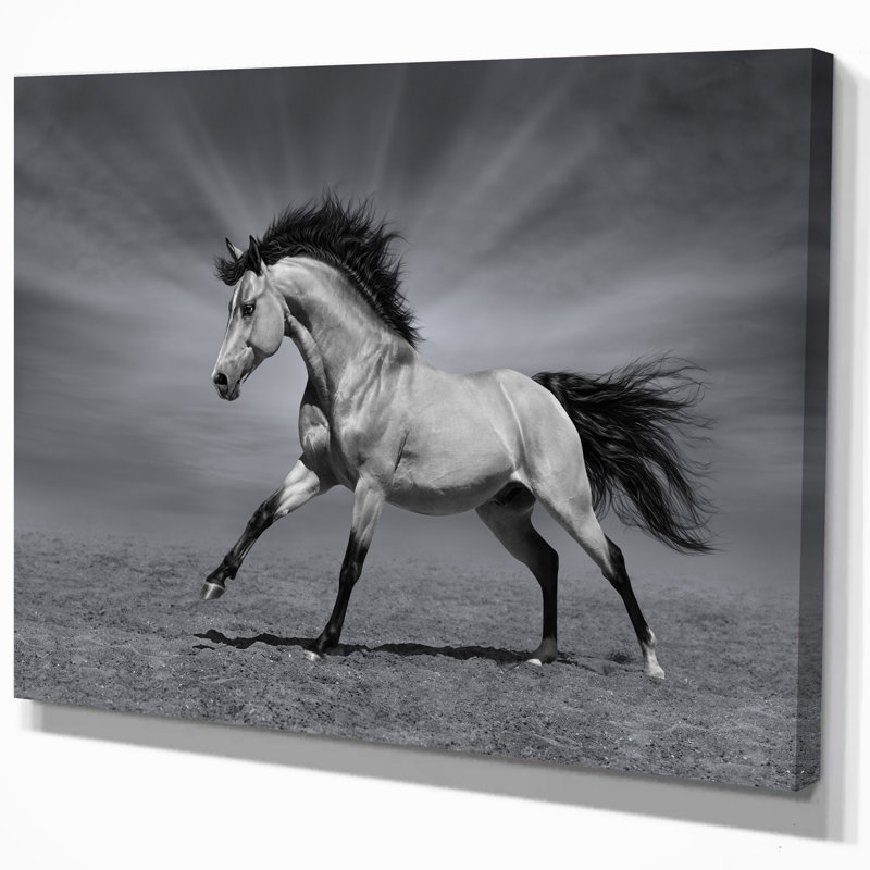 «Chestnut Horse in Motion», impression, H 20 po x l 20 po x P 1 po, Toile tendue