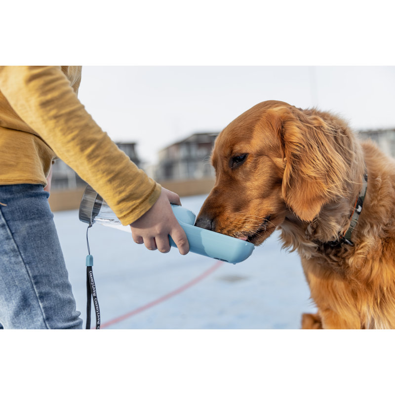 Bouteille d'eau portable pour animaux