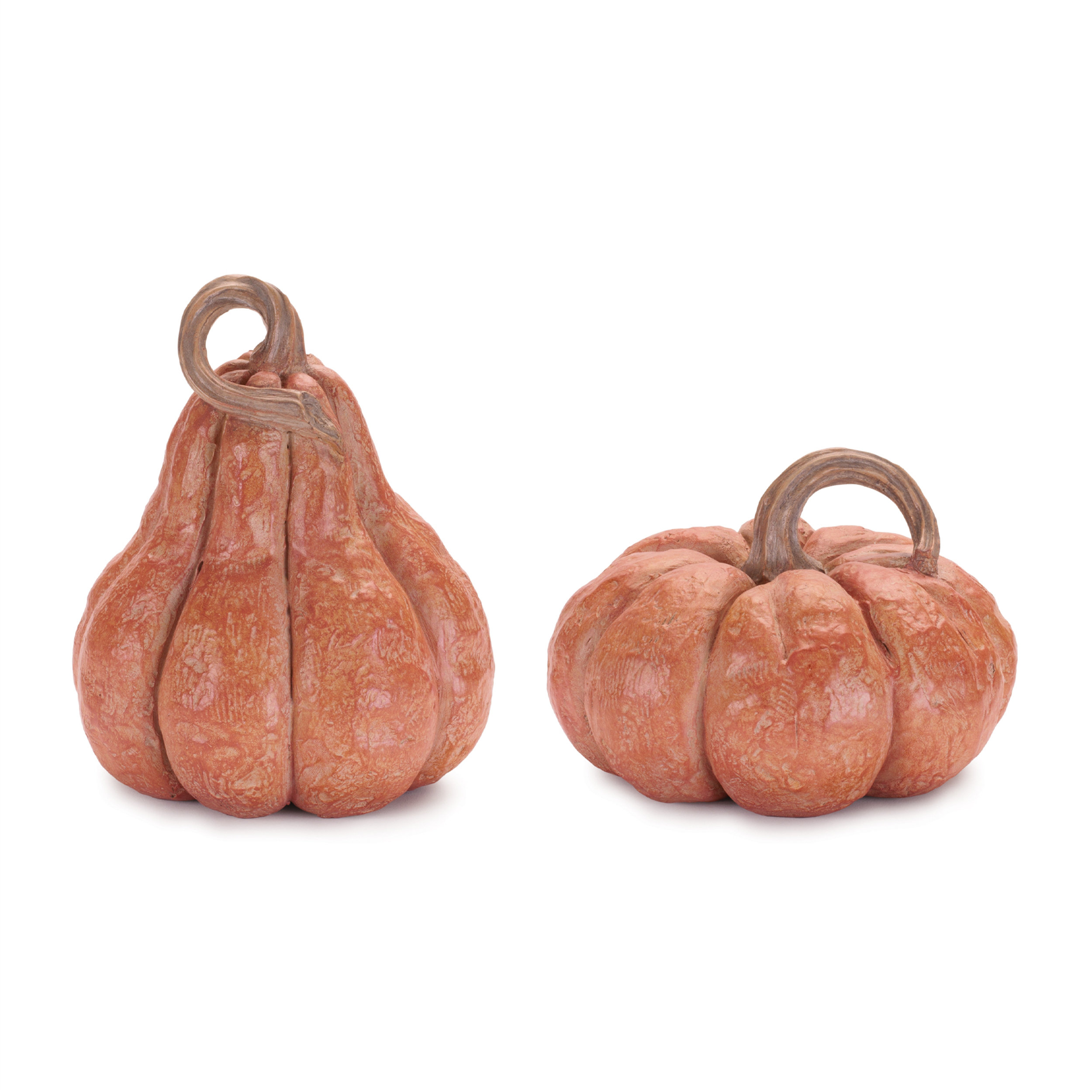 August Grove® Decorative Harvest Pumpkin (Set of 2) | Wayfair