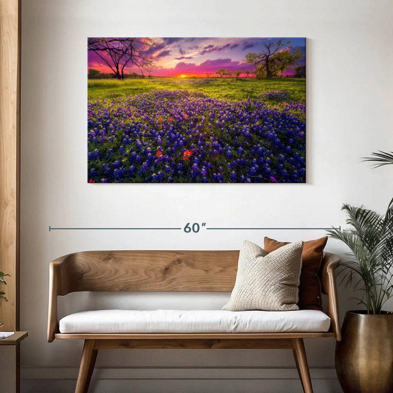 Champ de lavande Alvord Pastel Horizon, H 30 po x l 45 po