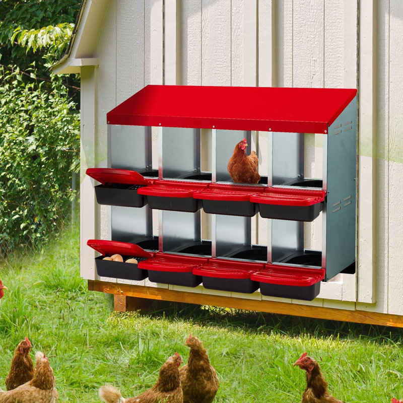 Boîte de nidification pour poulets en métal à 8 compartiments