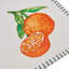 Embroidered Linen Rectangular Placemats-886029709