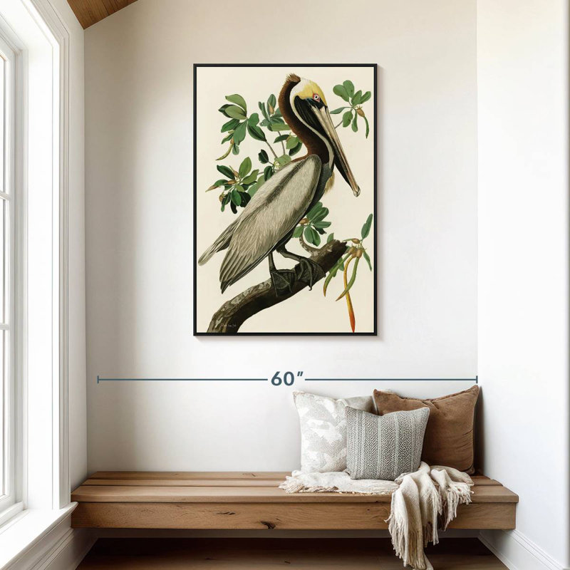 Pélican Audubon, Cadre flottant noir, 29 po x 43 po