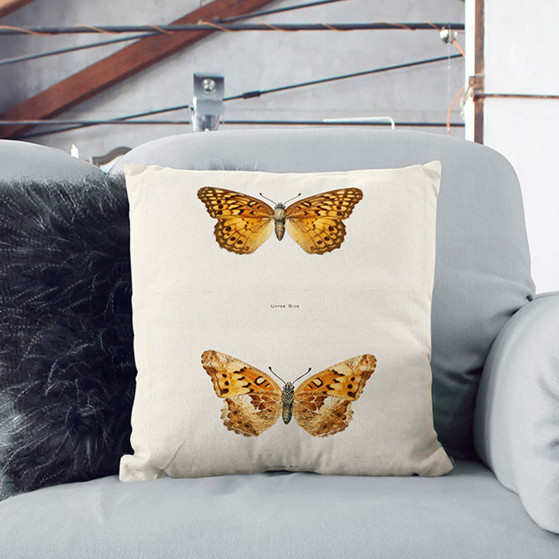 Variegated Fritillary Butterfly by S.F. Denton Cushion with Filling, White, 55cm H x 55cm W x 20cm D