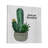 " Cacti And Succulents 41 "-2132728673