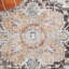 Tapis oriental en polypropylène tissé à la machine Desieree-1079085736