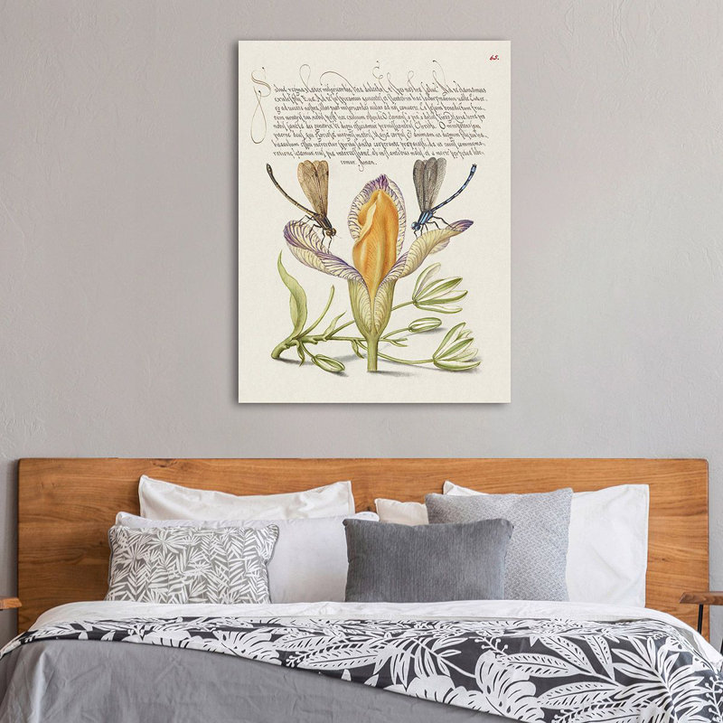 From The Model Book Of Calligraphy, VI by Bocskay Hoefnagel - Art Prints on Canvas, 80cm H x 60cm W x 4cm D