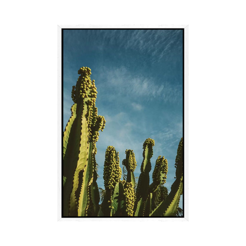 Reach For The Sky by Bethany Young - Print on Canvas, White Framed, 152.4cm H x 101.6cm W x 3.81cm D