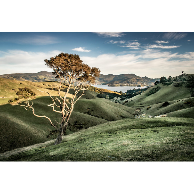 Port Chalmers At Sunrise - Wrapped Canvas Print, 61cm H x 91cm W x 3.8cm D