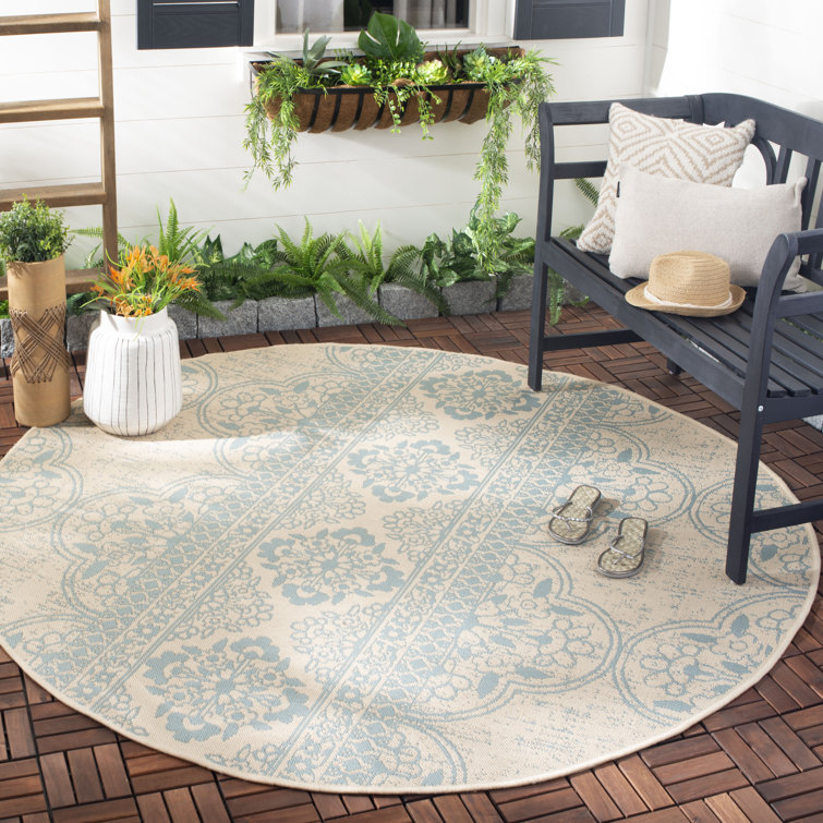 Danya Aqua/Cream Indoor/Outdoor Area Rug