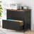 Neelachal 31’’ Storage Office 2 Drawer Lateral Filling Cabinet for A4 Letter Size-1905742394