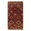 Xaivion Ikat Area Rug