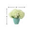 White Hydrangeas in Teal Ceramic Vase