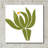 " Protea " by Jane Schmidt-307017860