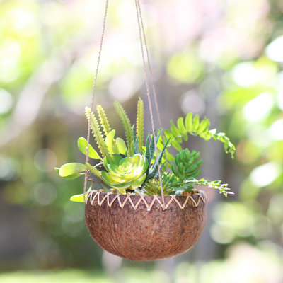 Albizu Hanging Planter
