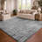 Premium Machine Washable Dream Shag ADS542 Fan-Like Rug-986554196-986554206
