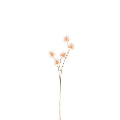 Unchin Arrangement