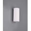 O"Toole Plastic Flush Mounted Sconce